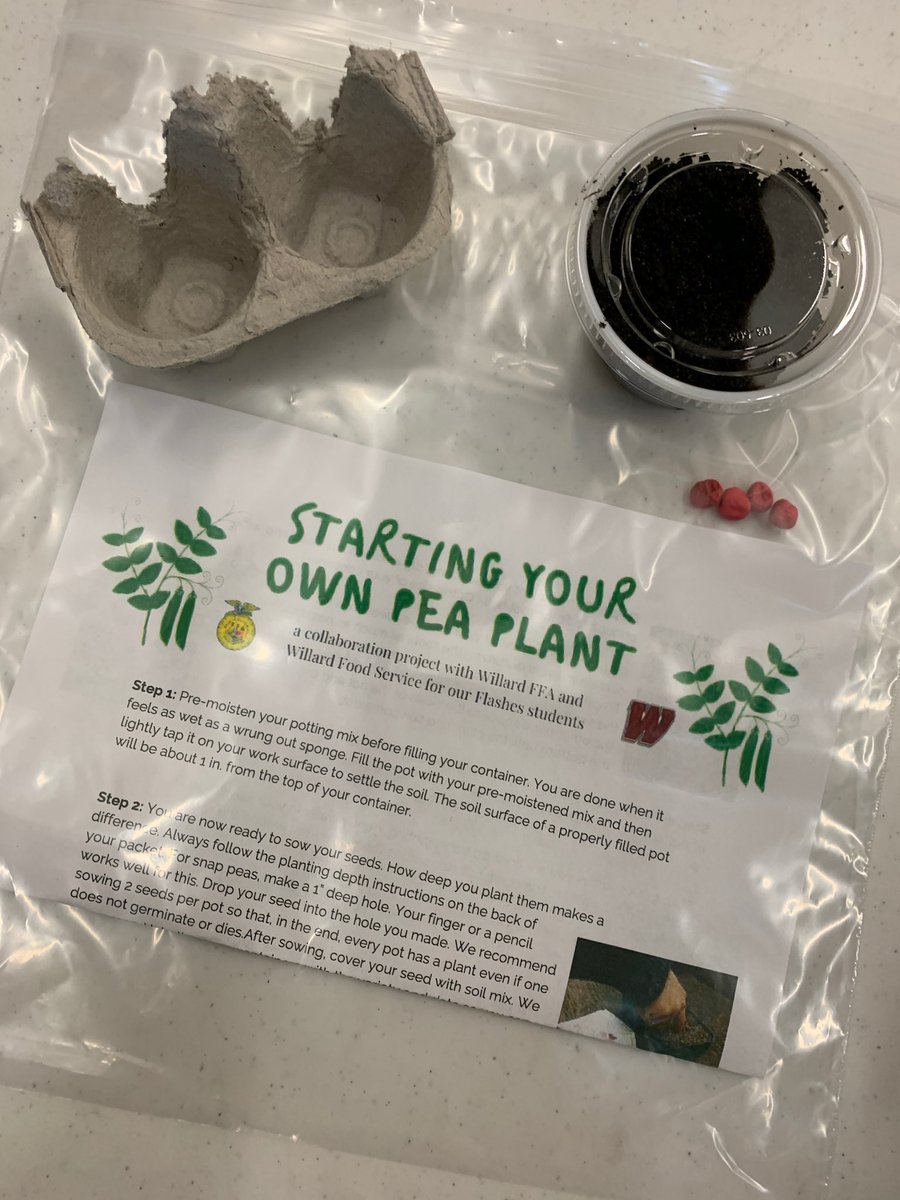 flashesagteach's tweet photo. Willard City School students will be getting a gardening kit from Willard FFA and Willard Food Service with their meals on Monday! 🌱
We would love to see pictures of our students starting their seeds! Post them on your social media using the hashtag #flashesgardening https://t.co/B0hHlCwxJ7