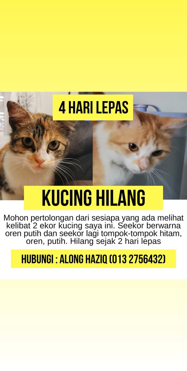 Haziqhissham On Twitter Saya Amalkan Doa Dan Zikir Dibawah Selepas Solat Sepanjang Khamis Dan Jumaat Dengan Harapan Allah Buka Jalan Agar Kedua Dua Ini Pulang Semula Https T Co Hjsefxkklg Twitter