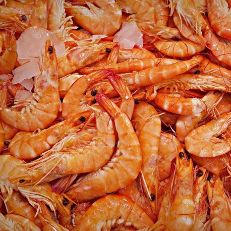 10) Les crevettes? C’est inhumain de manger ça 