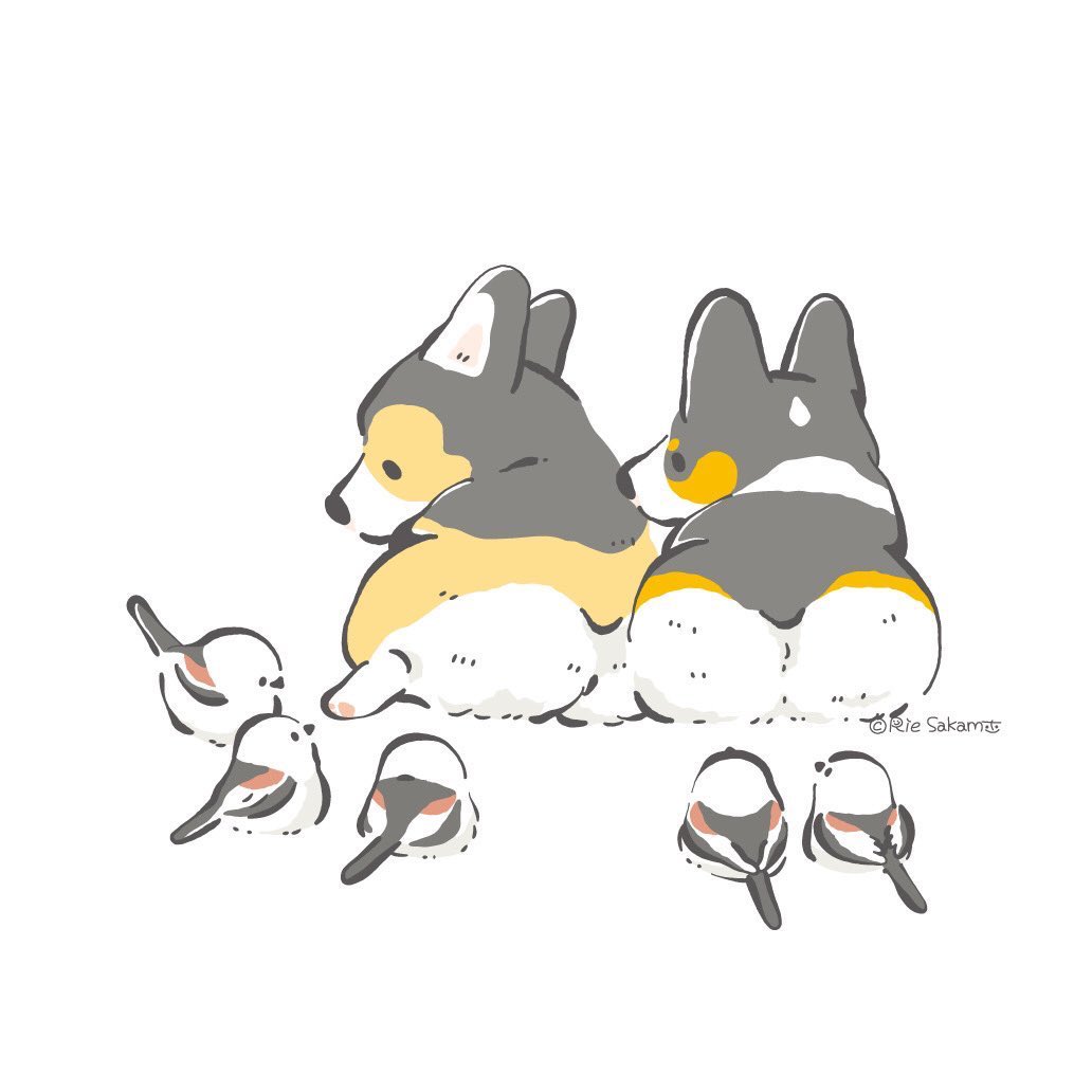 「愛鳥週間最終日、野鳥たちとコーギー1
 #愛鳥週間 #コーギー 」|サカモトリエ/イラストレーターのイラスト