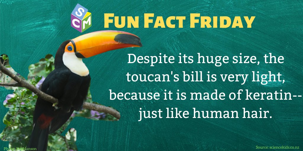 #MuseumAtHome #VirtualLearning