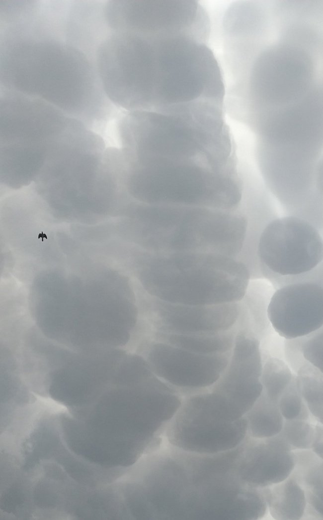 Sunil Patel ✒️ tweet media