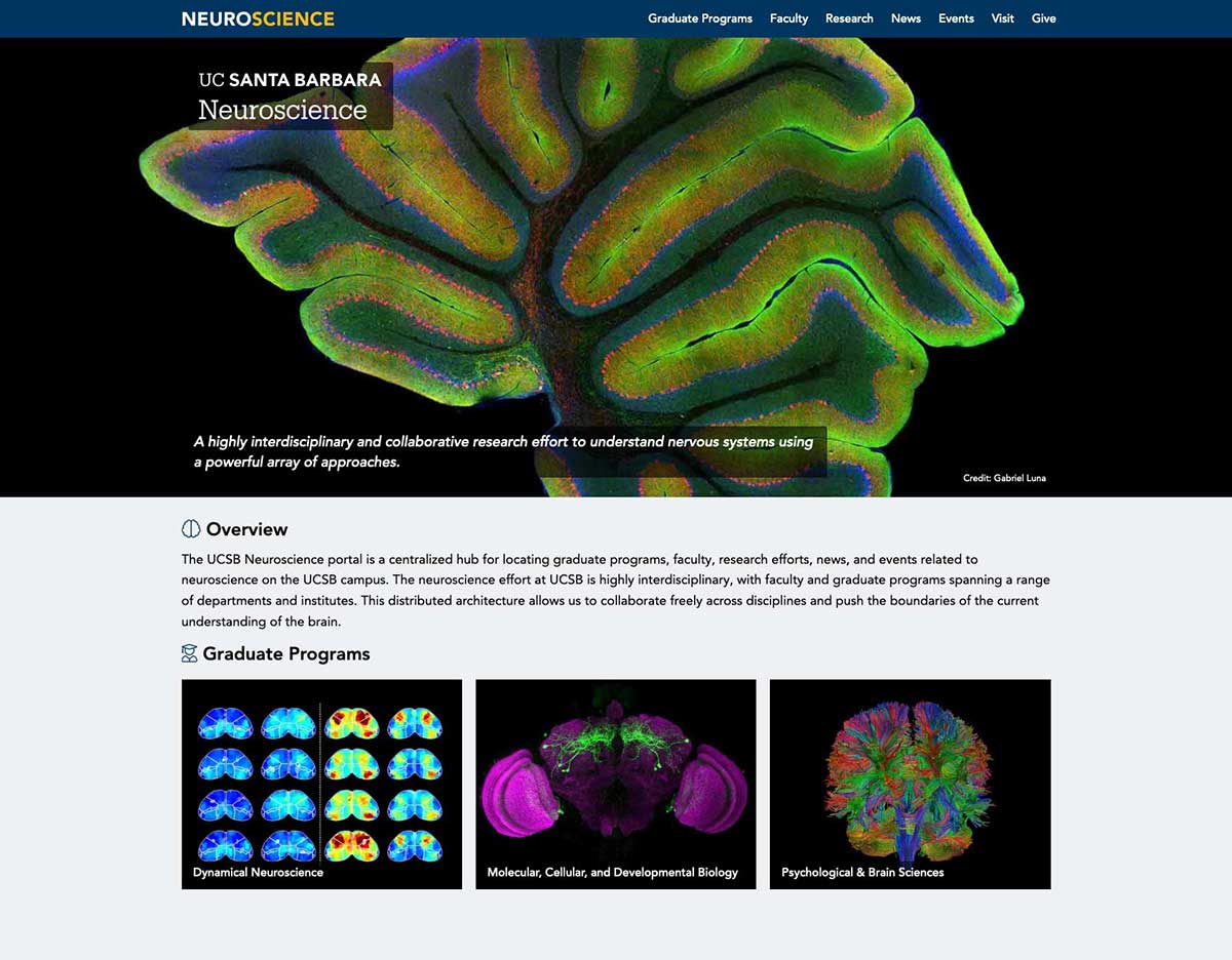 UCSB Launches New Neuroscience Website

Highlighting a campus-wide research effort to understand the nervous system using a broad array of powerful approaches.

neuroscience.ucsb.edu