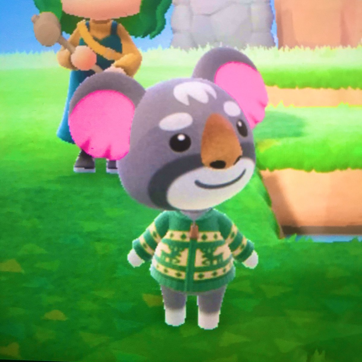BOREAL1S's tweet photo. How come nobody talks about Gonzo??? He’s so damn CUTEEEE. My lil cranky bb💕💕💕 #acnh #animalcrossing https://t.co/vxxKPlg1Xk