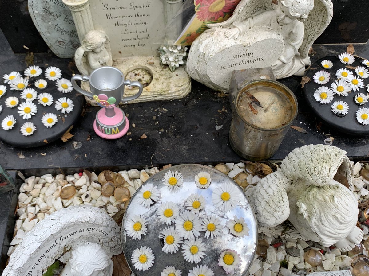 Slightly delayed but love how Esmae wants to make Granma’s Garden bloom with some picked flowers x #love #flowerpicker #granmasgarden