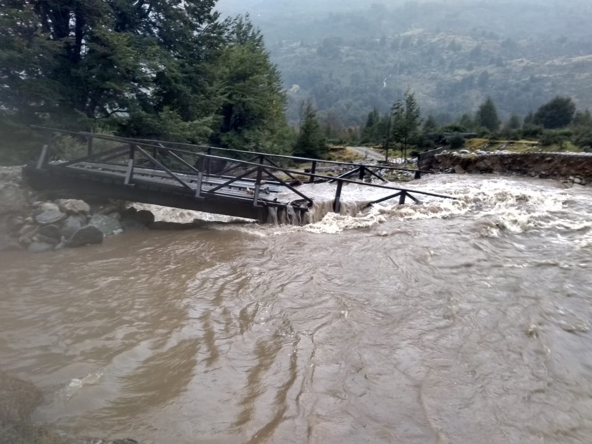 Fernando Grandón tweet media