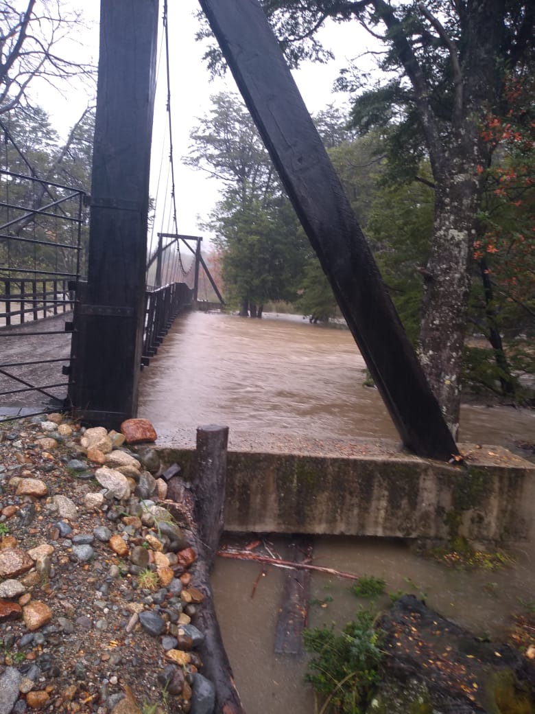 Fernando Grandón tweet media