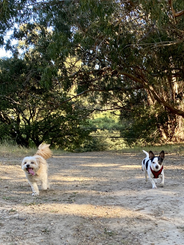 skid more tweet media