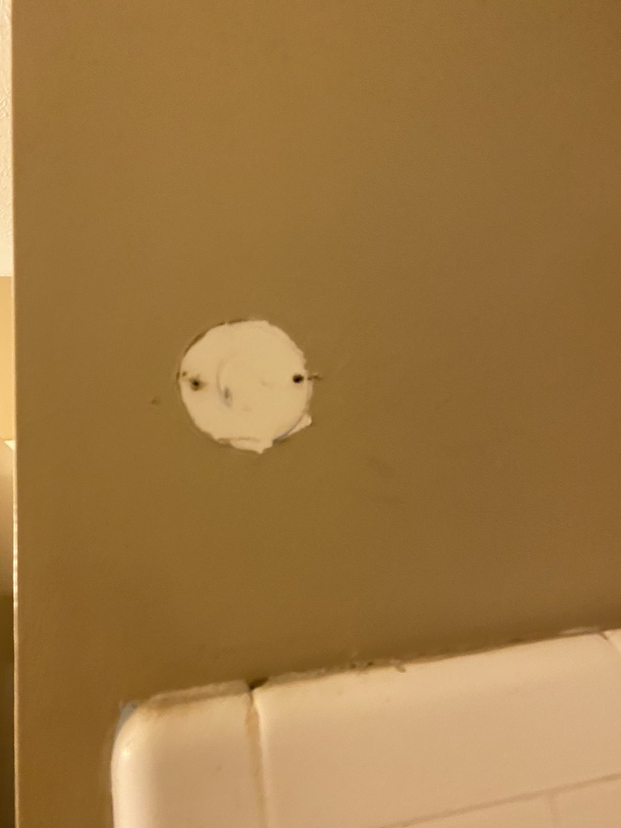 Pulled the shower curtain rod out and will probably have to get a temp one because the one from amazon is taking a week and a half at minimum. It’s original to the house and mounted with screws. Found some interesting wall paper.