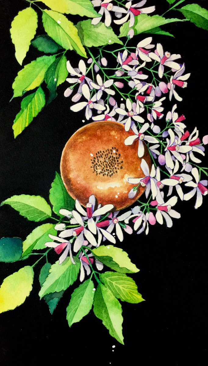 「凌霄花と栴檀。 」|錠マヱのイラスト