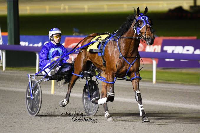 So privileged to have this horse in our barn for the last 4 years ! Our Jimmy Johnstone takes the win at GP last night - finishing over the top of the Bull in a 55.2 half 💪<a href="/GartrellRob/">Rob Gartrell</a>