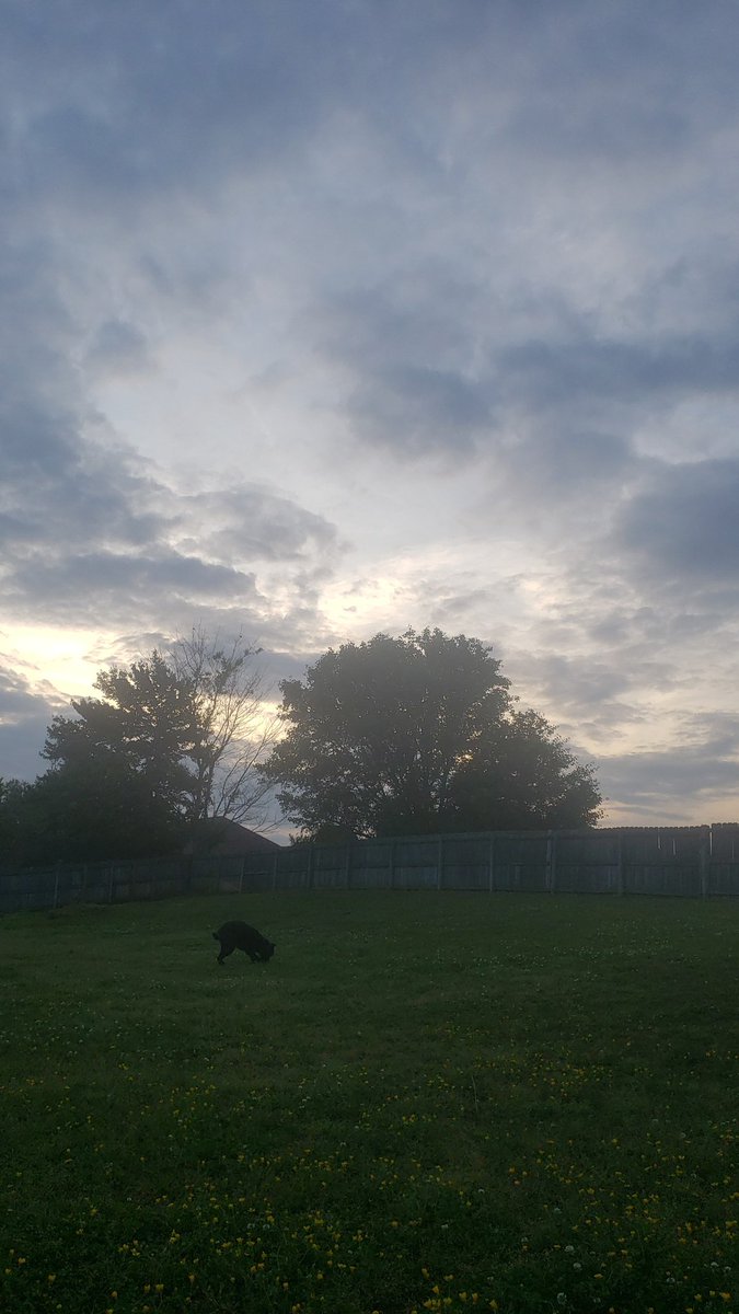 Watching Beth Moore in my backyard on a beautiful night in Alabama #LProof20