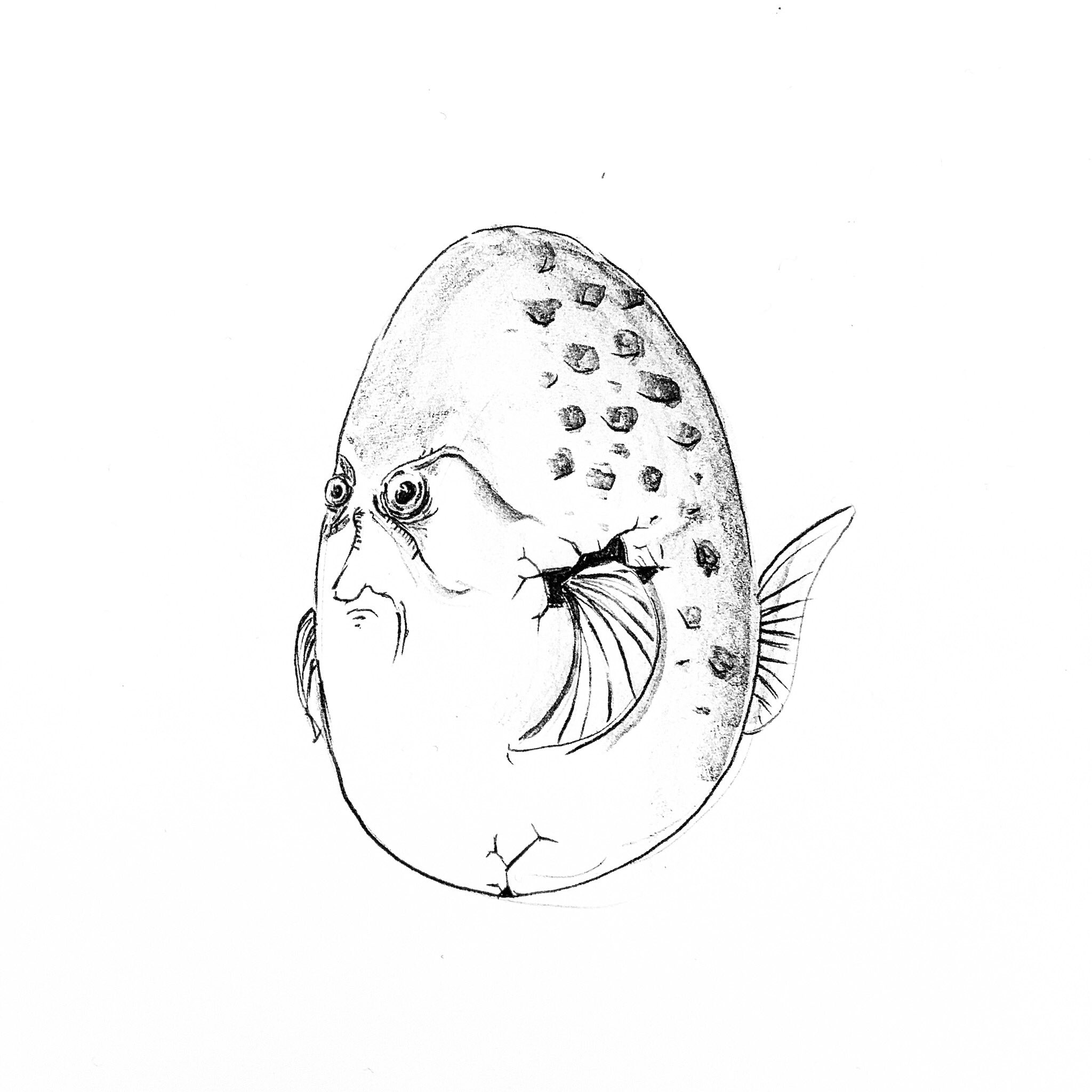よしむし タマゴサカナ ちょっと怒りながら泳いでいる タマゴサカナ 魚イラスト タマゴイラスト 線画 モノクロアート モノクロイラスト シュールなイラスト T Co Egi8bmyq4v Twitter
