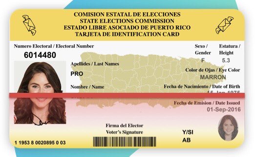 Zorro Boricua 🇺🇸🇵🇷🇮🇱 tweet media