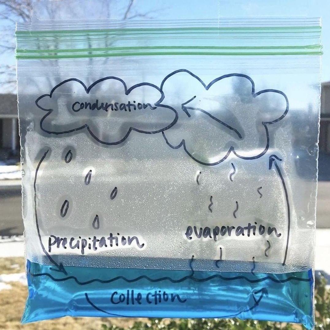 DIY WATER CYCLE 🌧 This easy science experiment can be done from home! Your kids will be in awe watching water change from evaporation to condensation to precipitation and collection. Do you have other ideas for DIY science experiments? (💡: @playdough2plato; 📸: @kinnectkids)