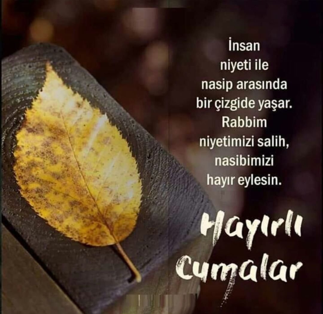 ❤️zeynep❤️ (@zeynep52150968) on Twitter photo 