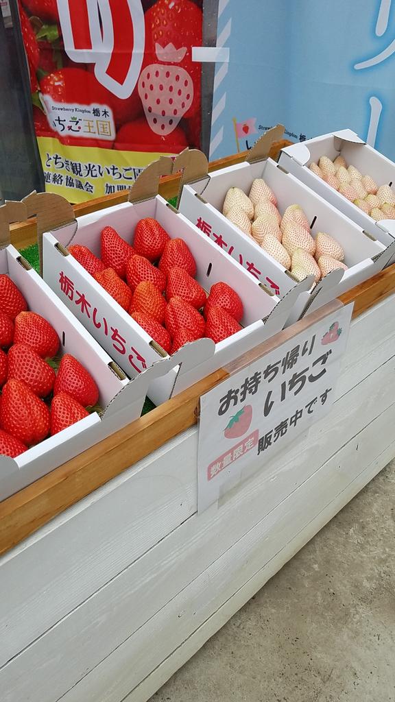 池田いちご園 千本松牧場 Siaosameke Twitter 池田いちご園 千本松牧場 Siaosameke Twitter