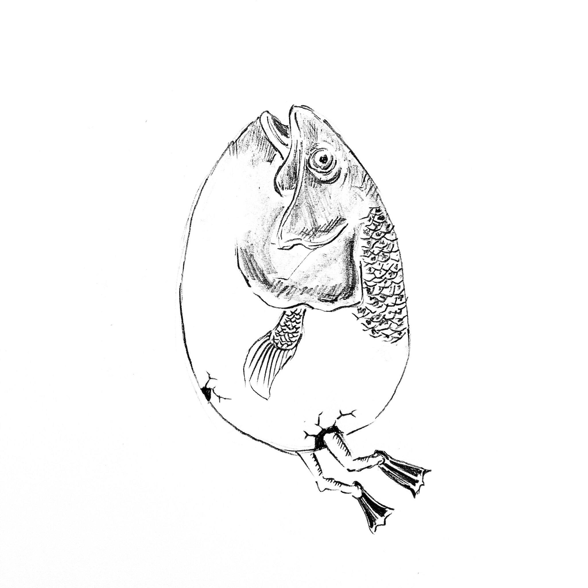 よしむし タマゴサカナ 足ヒレを付けて一気に浮き上がる タマゴサカナ 魚イラスト タマゴイラスト モノクロイラスト シュールなイラスト カワイイイラスト T Co Dghbc6yljs Twitter