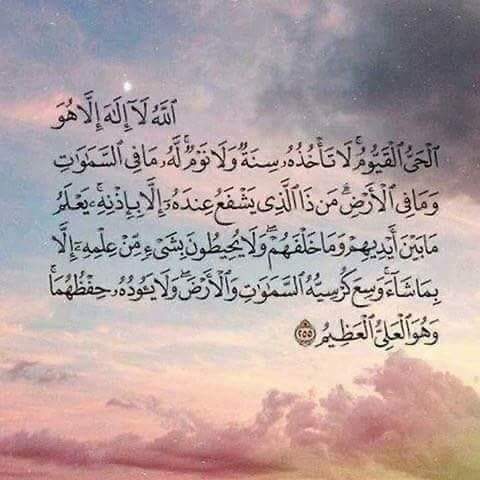ZSM236's tweet photo. لروح جدتي فضلا🌺 https://t.co/nH7BmjL8bm