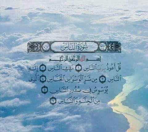 ZSM236's tweet photo. لروح جدتي فضلا🌺 https://t.co/nH7BmjL8bm