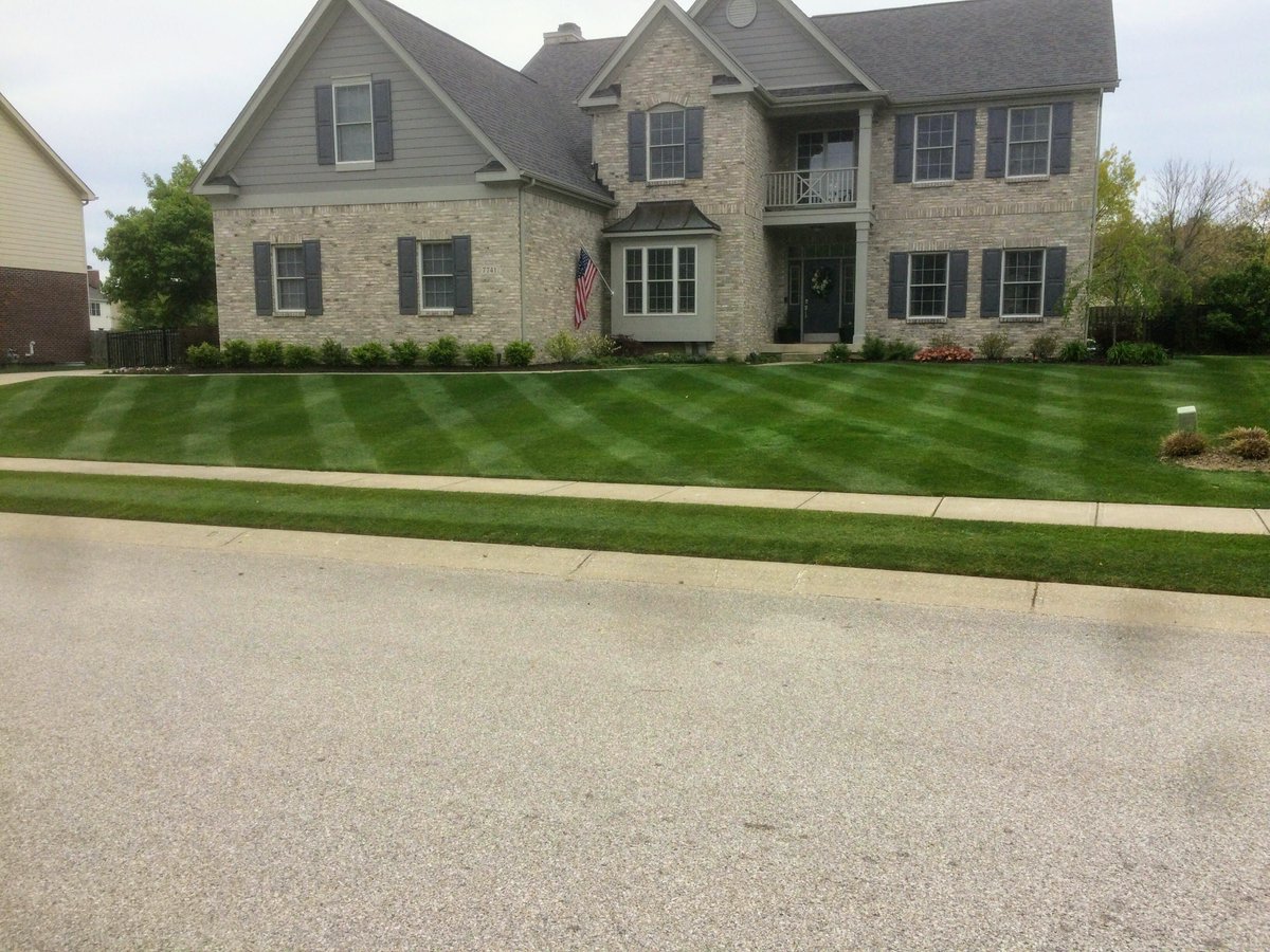 TenBargeSeed's tweet photo. This picture was taken from a neighborhood close to our New Albany store.  Carbon Earth Co. products are showing healthy results💚  The future of fertilizer?  #soilhealth #carbon #biochar #peptides https://t.co/6cg7qJ3OW7