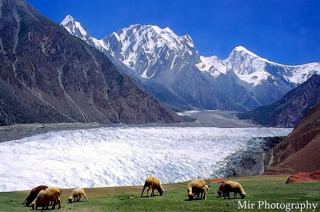 jamilnagri's tweet photo. Golden peak #Nagar #GilgitBaltistan.
pasture, glacier, peak, one veiw from one direction. https://t.co/ZtyjuG1K66