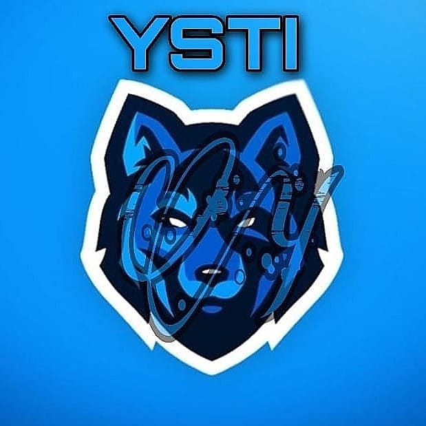Team YSTI tweet media