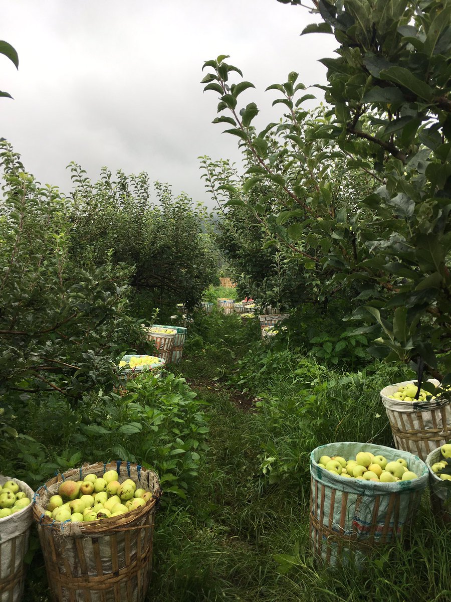 12pcs min order tweet media