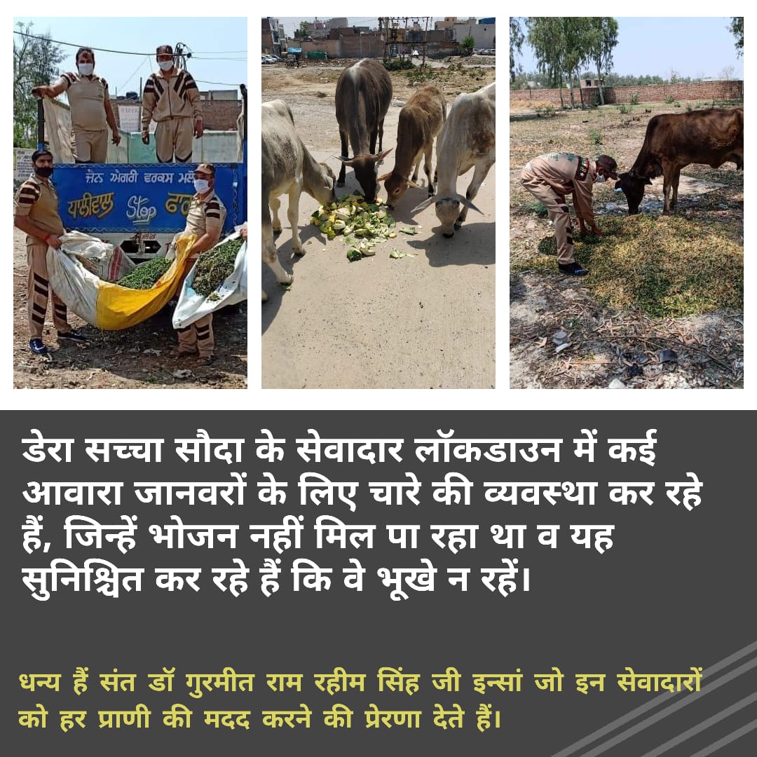 Sportsperson5's tweet photo. Hopefully, seeing the newspapers of today, you must have also know why Saint @Gurmeetramrahim ji gave them the name of #WarriorsOfHumanity 🎀
Amazing, these people, who run even after hearing a little chirm of needed. https://t.co/26KgsKmZju