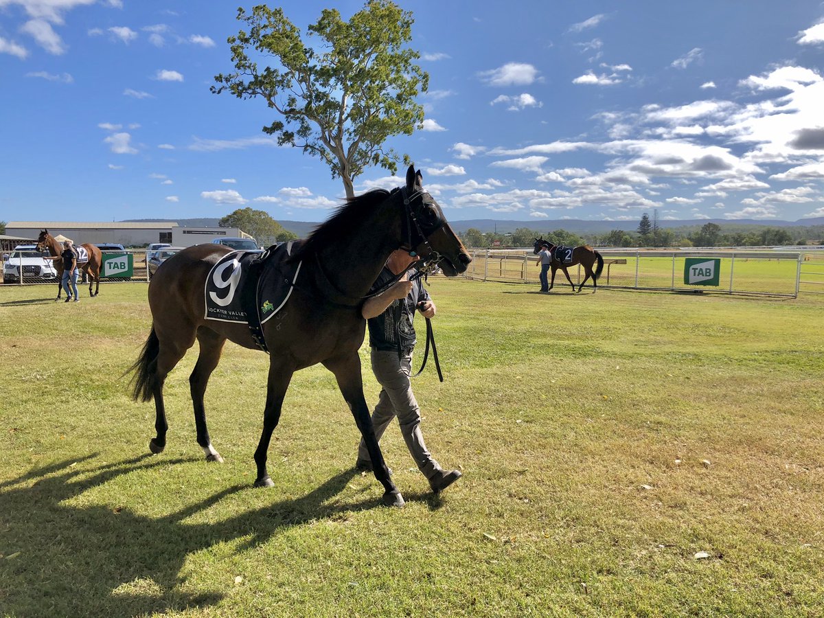 pspvideohd's tweet image. G A T T O N  |  A Huge 1️⃣1️⃣ Race Card in the 💙 of the Lockyer Valley 🏇🏼🏇🏼

Racing All Day ☀️ on @SkyRacingWorld 1️⃣ 

@RaceQLD @racing_qld 

#QLDisRacing #RaceAtYourPlace #trackrating #good4
#thoroughbred #lockyervalley