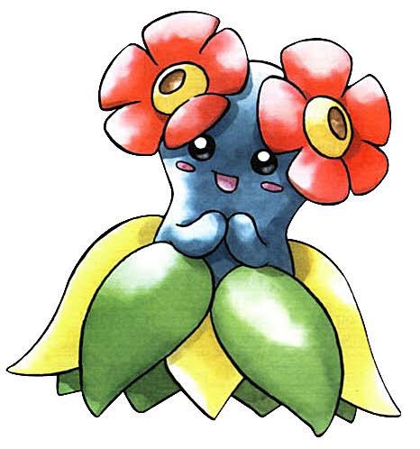 ャー P7 Twitter ನಲ ಲ キレイハナって金銀の時点で既に公式絵以外 アニメとかポケモンカードとかで が体色が緑に変えられてるんだよな ルージュラ同様の理由なんだろうけど 元の色の方がナゾノクサ系列としては正しいよなぁ ャー P7 Twitter ನಲ ಲ キレイハナって金銀の時点で既に公式絵以外 アニメとかポケモンカードとかで が体色が緑に変えられてるんだよな ルージュラ同様の理由なんだろうけど 元の色の方がナゾノクサ系列としては正しいよなぁ