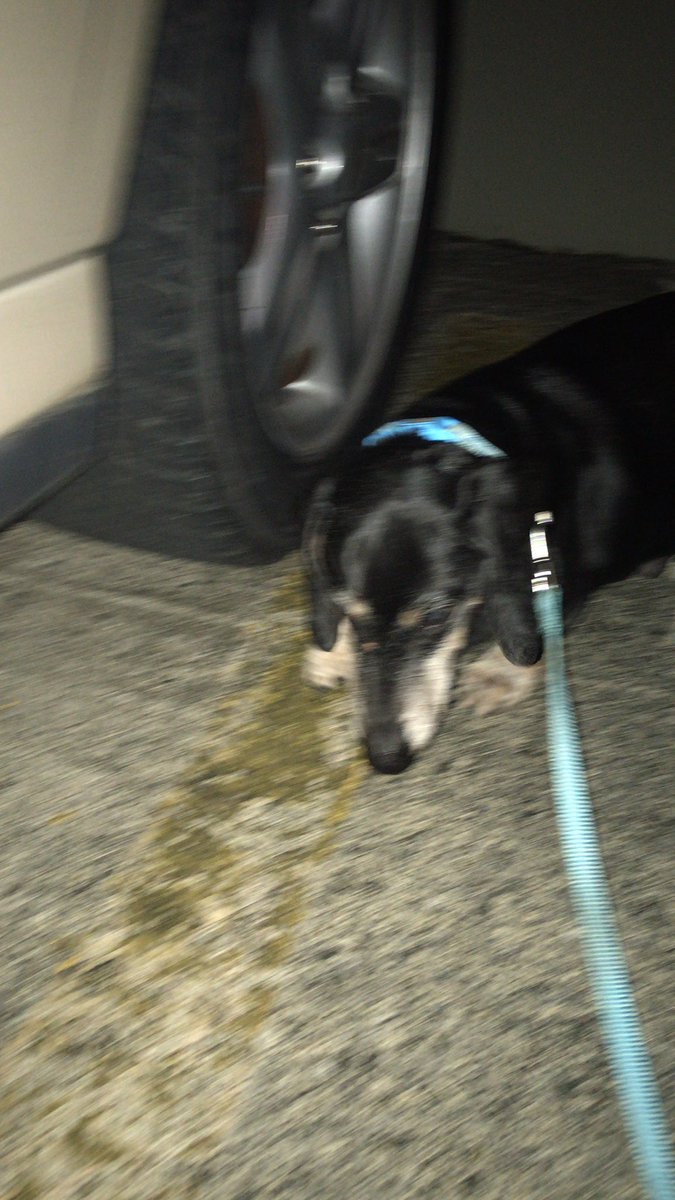 hatake6ix's tweet image. Streaming at 10:20pm EST