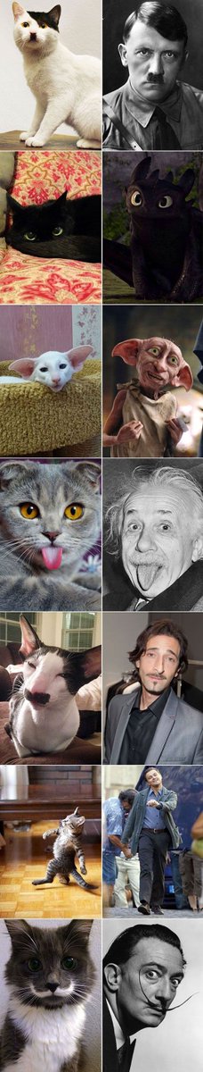 bellchangotit's tweet photo. too funny #comedy #chuckle #smile #funny https://t.co/tN4JYhxJYs