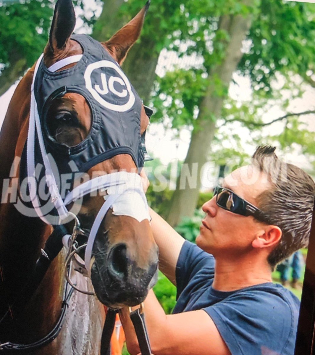 camejo stable tweet media