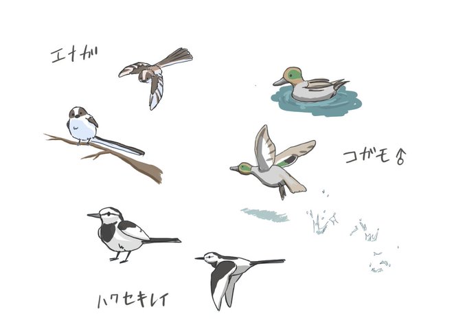 エナガのtwitterイラスト検索結果 古い順