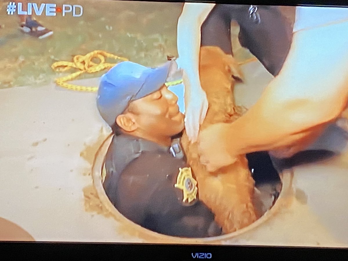 jtighe08's tweet photo. Great job by @DeputyBHughes her fellow @RCSD Deputy + the Good Samaritan who rescued the Golden Retriever from the drain. Our Louie watching intently like us. Very cool. #LivePD #LivePDNations #LivePDDogs #RichlandCountySheriffsOffice https://t.co/FL8PdrTjkh