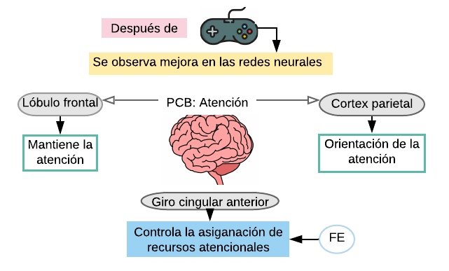 Chelsea Rodríguez Adama tweet media