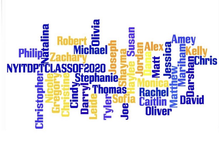 NYITDPT's tweet photo. @NYITDPT Congratulations NYIT DPT Class of 2020!! βDo not go where the path may lead. Go instead where there is no path and leave a trail.β ~Ralph Waldo Emerson Wishing you the very best in your new adventure! Love always, Your NYITDPT Family ππ #nyit #NyitShp #nyitstrong https://t.co/f8PIfpKecJ