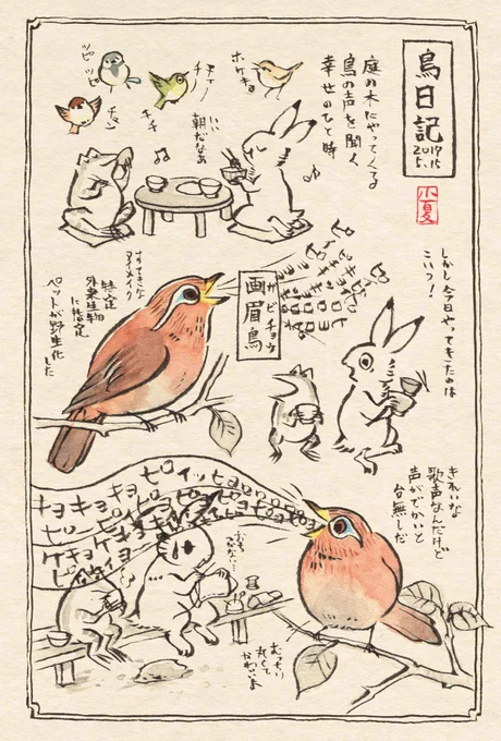 「ガビチョウ」という鳥が庭に来ていたという絵日記 