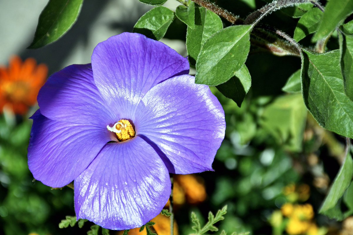 Katiana Kay ᯽ on Twitter "🍑😘…