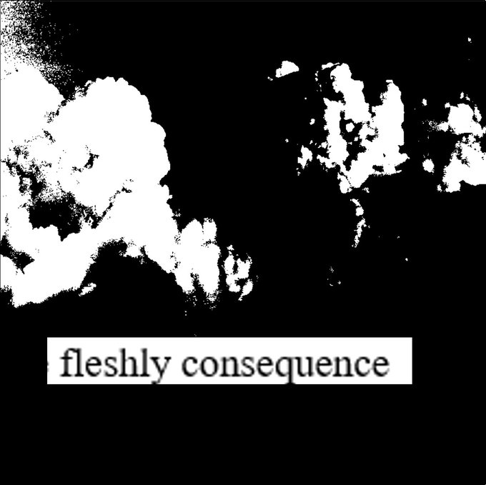 fleshly consequence -a digest of ingestion 

a b&amp;w collaborative zine of @vexed_muse's writing and @bhramarii's found collage

read for free here: https://t.co/lEw7EbBpCb 