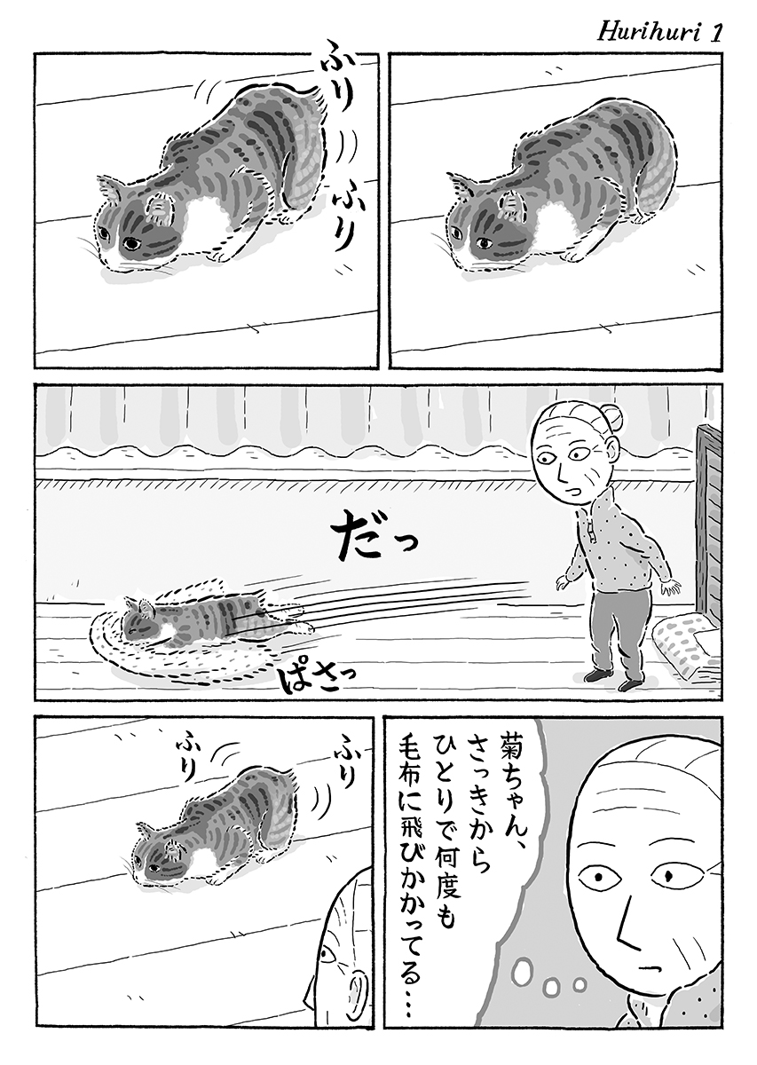 2ページ猫漫画「ふりふりアタック」 #猫の菊ちゃん 