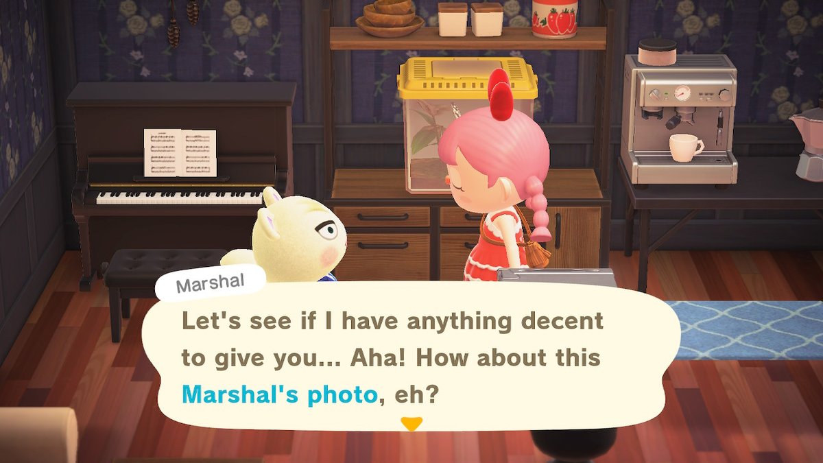 SapphoAC's tweet image. Yaaaaaaaay! I reached peak friendship with Marshal #AnimalCrossing #ACNH #NintendoSwitch