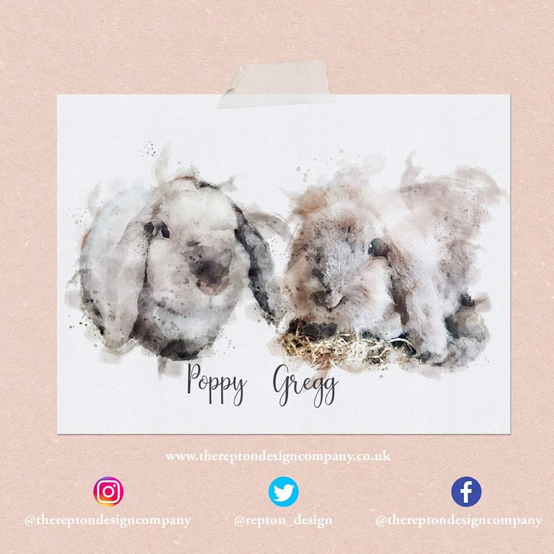 repton_design's tweet photo. Little Bunnys π
A commission for these cute little bunnys!! We can do portraits of any animal!!
#bunnys #bunnylove #rabbit #petsoftwitter #petportrait #petlove #animal #animallovers #loveyourpet #animallove #rabbitsoftwitter #bunnysoftwitter #smallbuisness #supportsmall https://t.co/fO9W6TputT