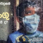 Image for the Tweet beginning: වර්ෂා සමයත් සමඟ ඩෙංගු යළි