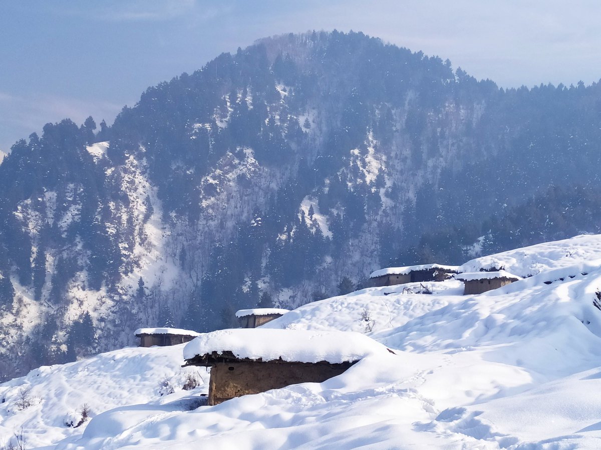 theqasimbazaz's tweet photo. Mamneth Trek, 19 | Life is beautiful, but only if you live it fully! @AshtarKashmiri @aacimabbass @Sayar_aly @Yawar_abbas12 @ShahHanan15 #Kashmir #trekking #peace #mountains #mamneth 💚 https://t.co/YIOT7rdbr5