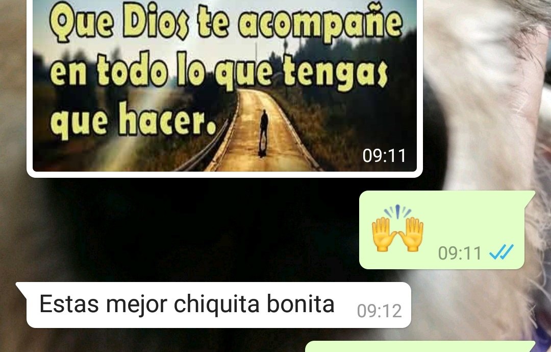 Amo despertar con los mensajes de mi papá. Aquí la diferencia de quien te quiere para toda la vida ❤️.