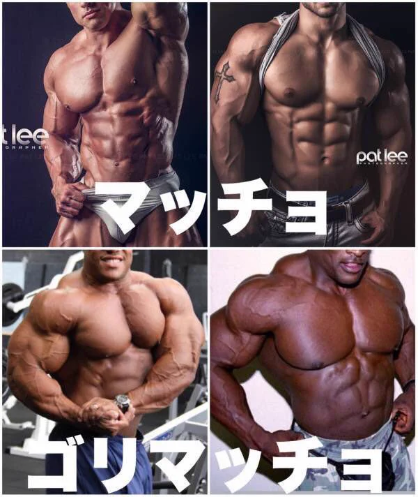 細マッチョはガリガリのことではない？男性の体型の基準はこれwww