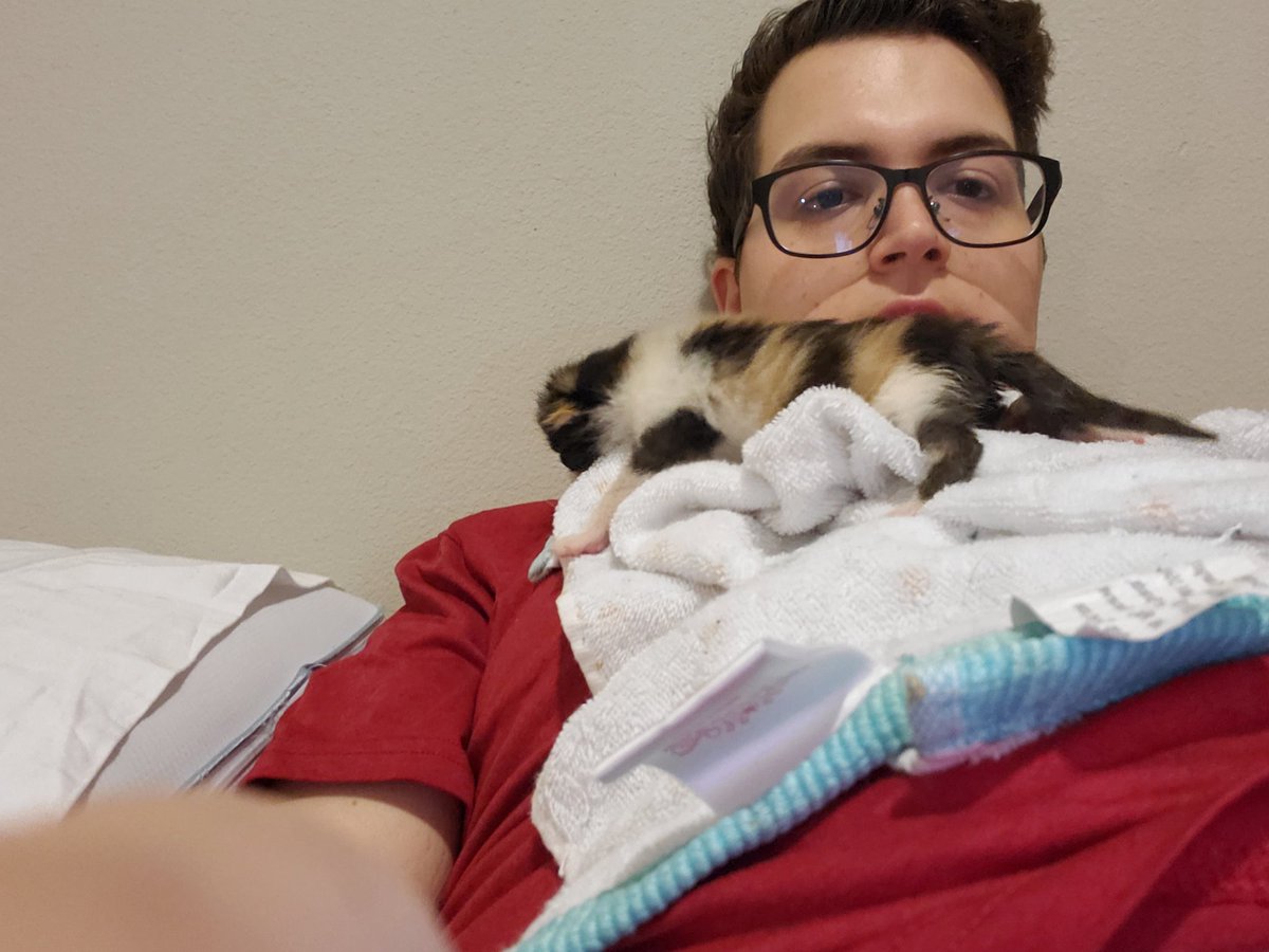 Hardest day so far for Macchiato since the day we found her.She's had diarrhea most of the day, even in between meals / cleanings, but she's still doing okay. We've used Pedialyte to keep her hydrated among it all. Hoping it gets better soon.