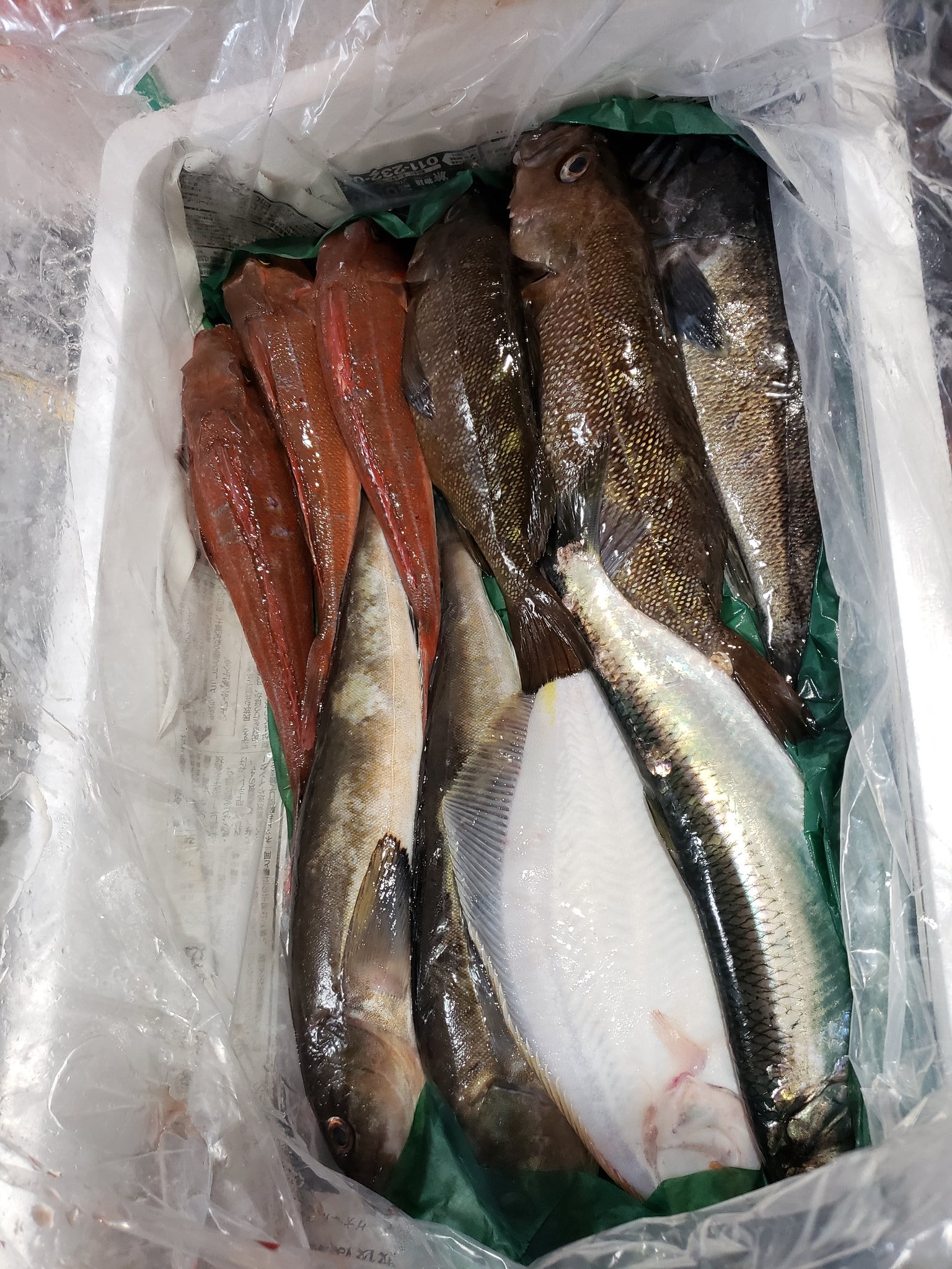 Nao 北海道から届きました 活〆の魚たち これいくらだと思う これで2100円送料無料 初回限定価格 送料無料今月まで 最高じゃない ポケットマルシェ 超おすすめ T Co Wt1qccedod Twitter